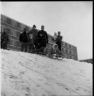 Watching a sled